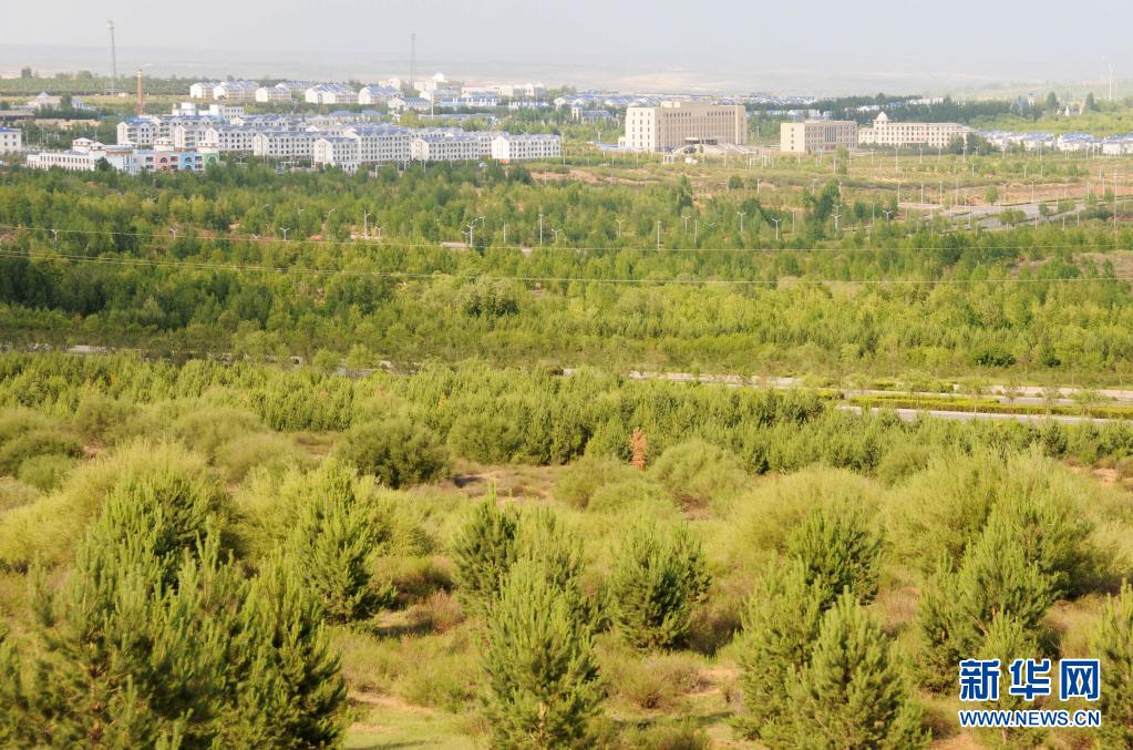 约等于3个北京！内蒙古5年治理沙化土地近7200万亩