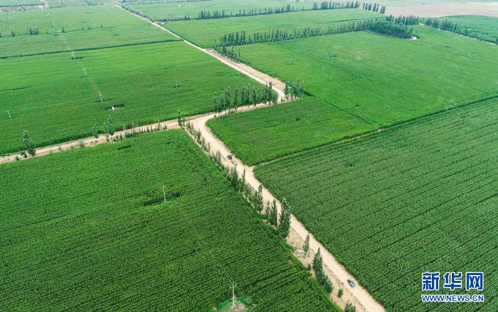 鄂尔多斯：打造高标准农田 促进种植业快速发展